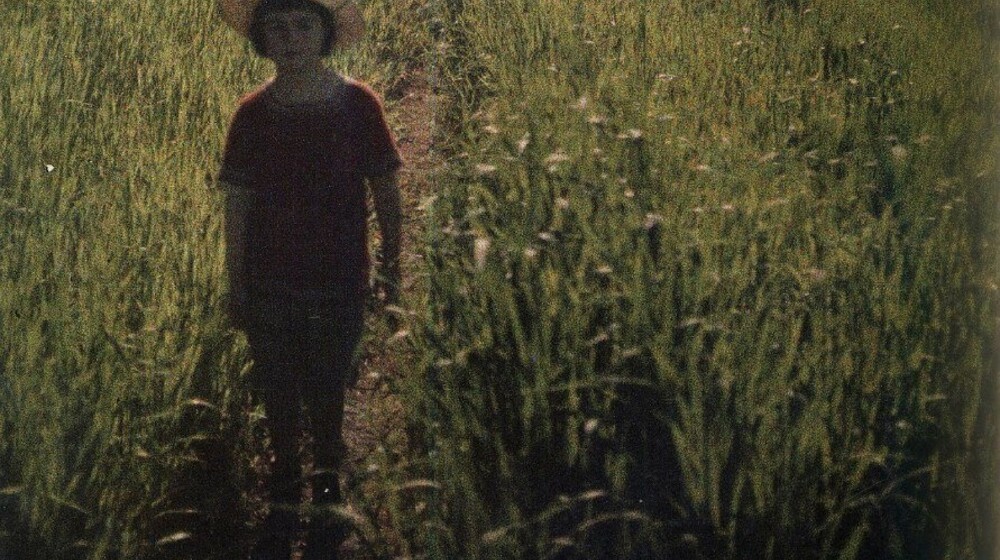 :/море_качели_мошки