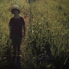 :/море_качели_мошки