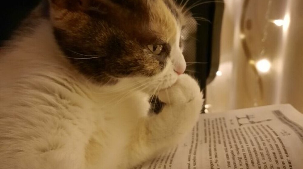 Есть над чем подумать 