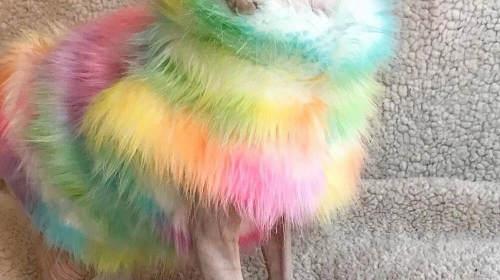 Литературный треш