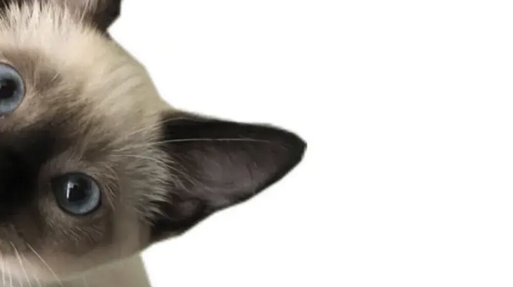 усовершенствование себя