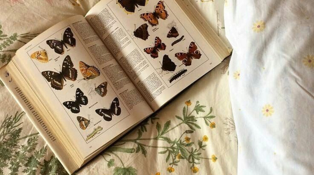 Психология🙏