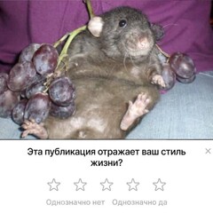 Вопрос 