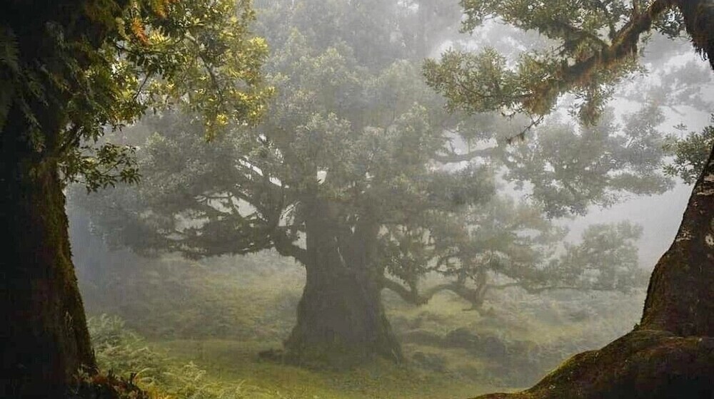 книги которые точно хочу прочитать 