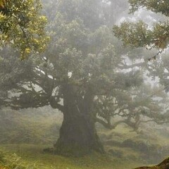 книги которые точно хочу прочитать 