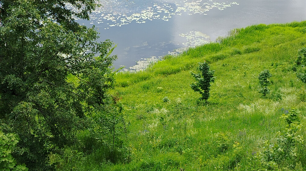 Литература
6 класс