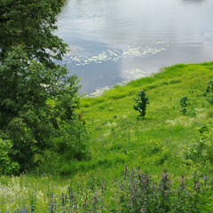 Литература
6 класс