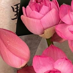 Неизменная классика 