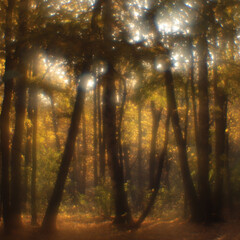 Что читать осенью: выбор редакции Seasons of Life
