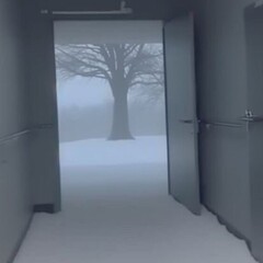 Большие надежды 