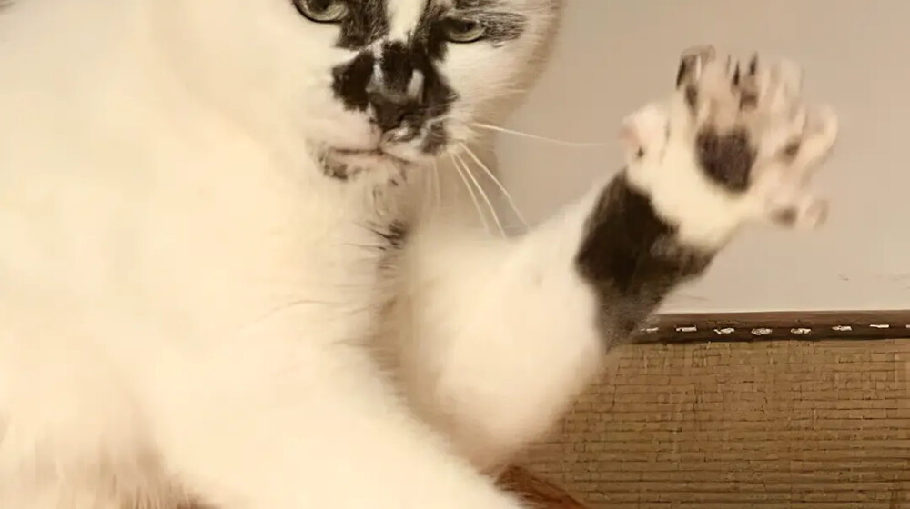 маркетинг - это база