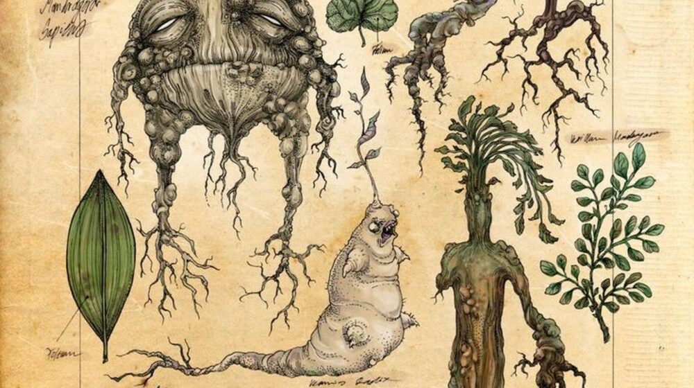 (спекулятивная) биология