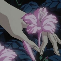 прочитанное за 2026