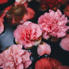 К себе нежно