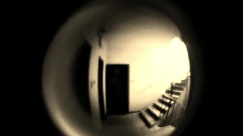 Общества животных и людей