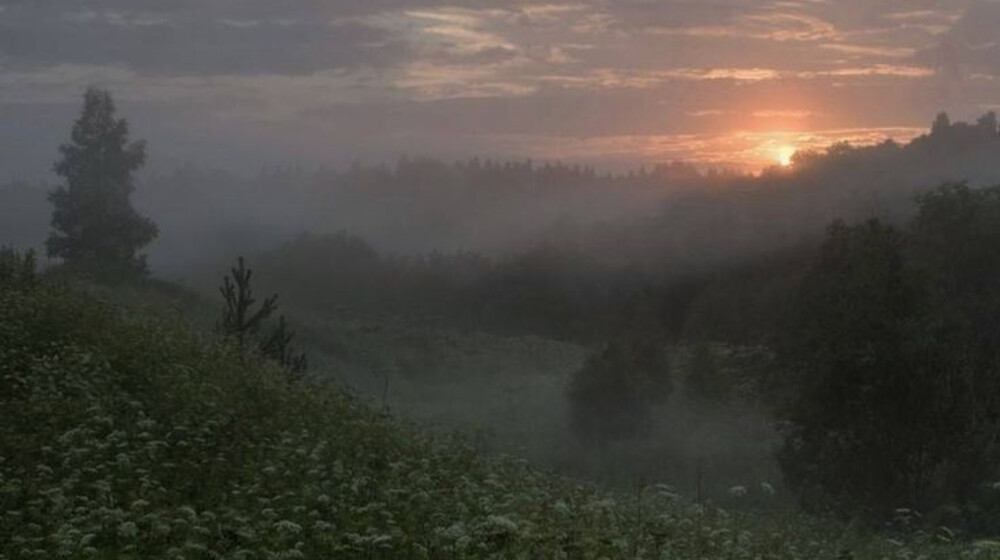 Ужасы/детектив/апокалипсис/тёмное