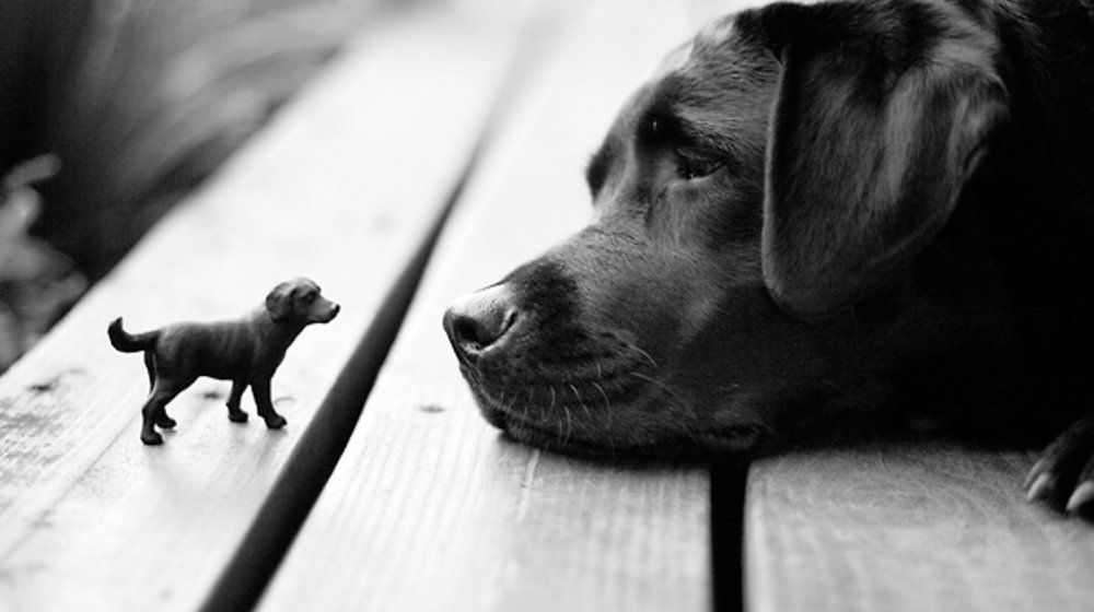 Отечественная проза