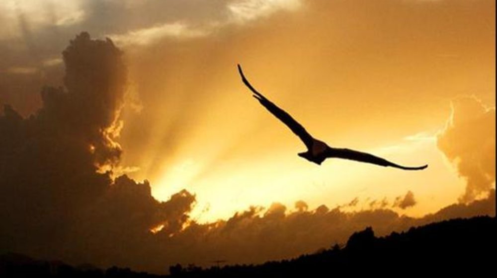 Штрихи к жизни 