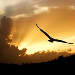 Штрихи к жизни 