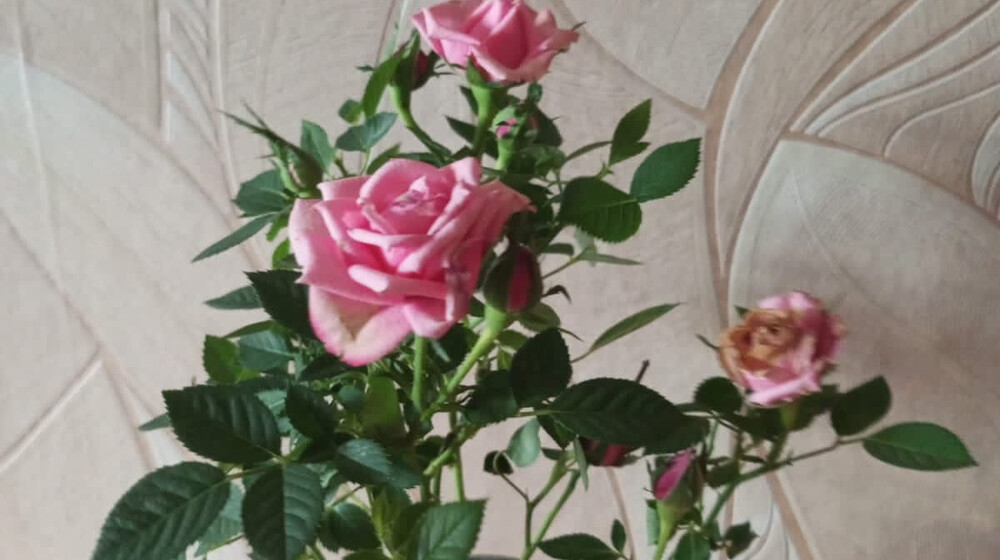 💯💕РОМАНТИЧНО💕