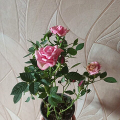 💯💕РОМАНТИЧНО💕