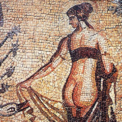 История. Разное