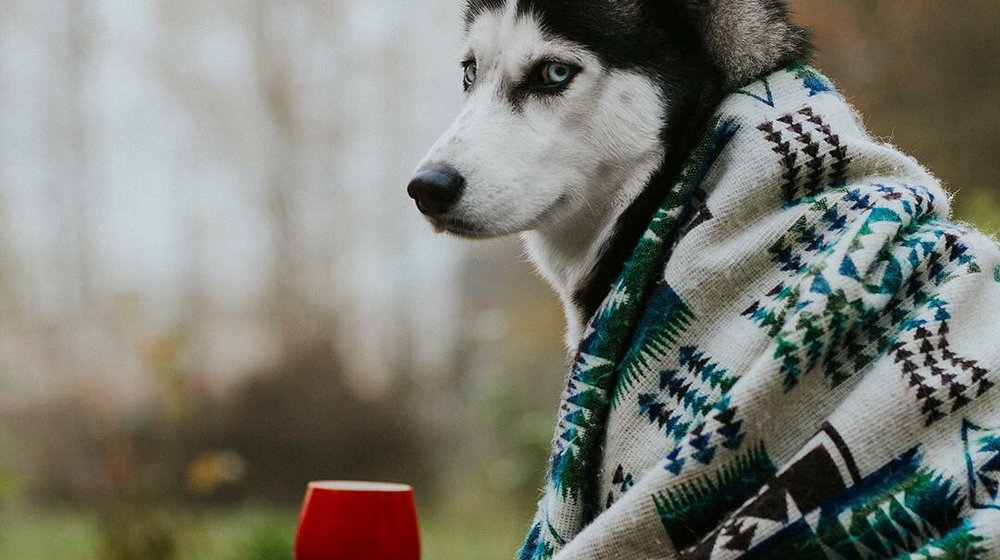 Мотивационное