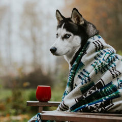 Мотивационное