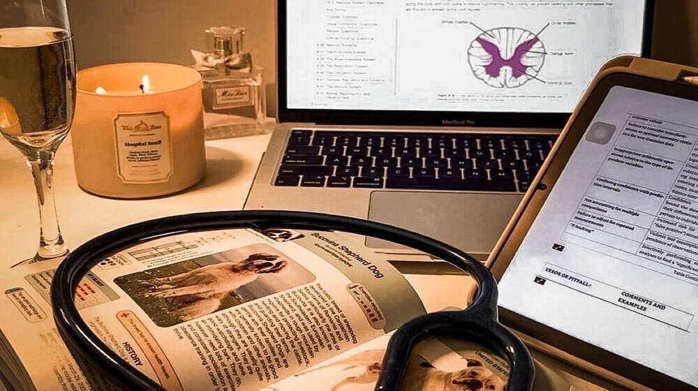 Кладовая здоровья