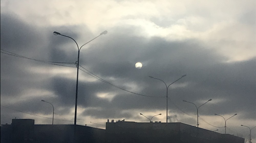 Быков и другие лекции