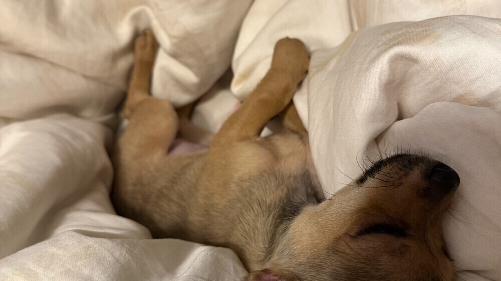 Любопытненько 🥸