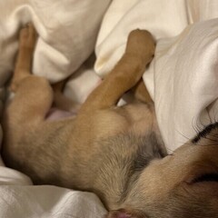 Любопытненько 🥸