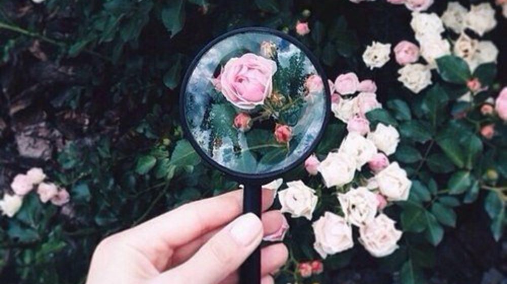 Русская классика