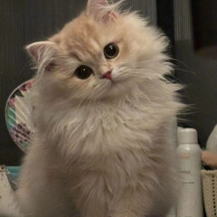 Прочитанное