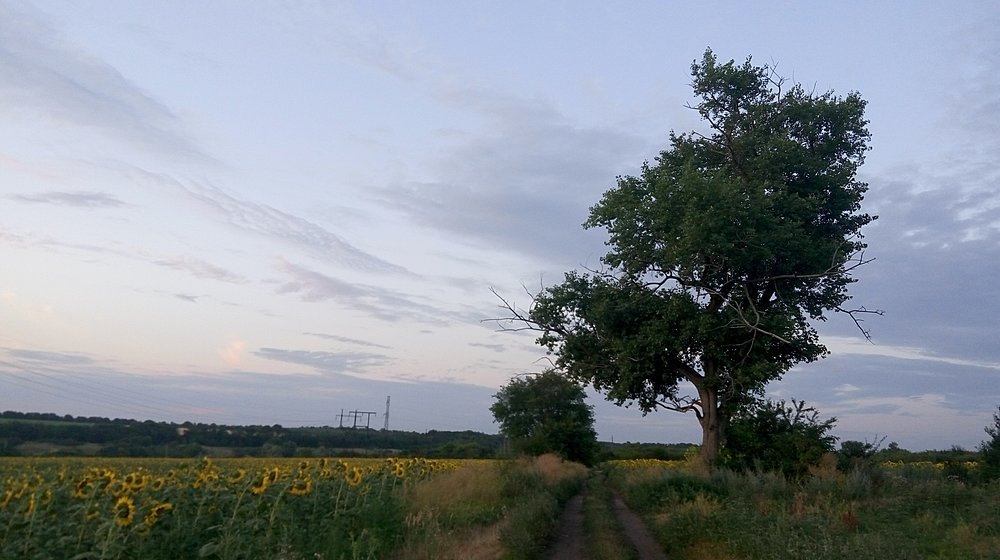 Основано на реальных события