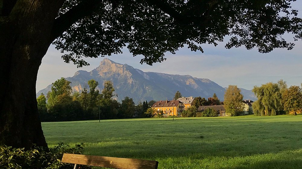 Ксюшина полочка