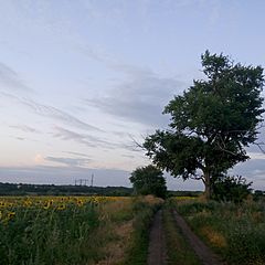 Основано на реальных события