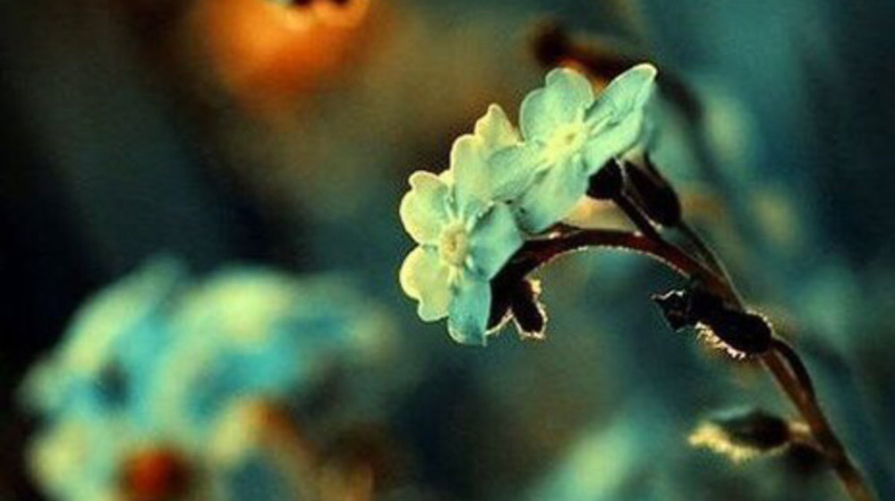 Мудро, вкусно, красиво.....