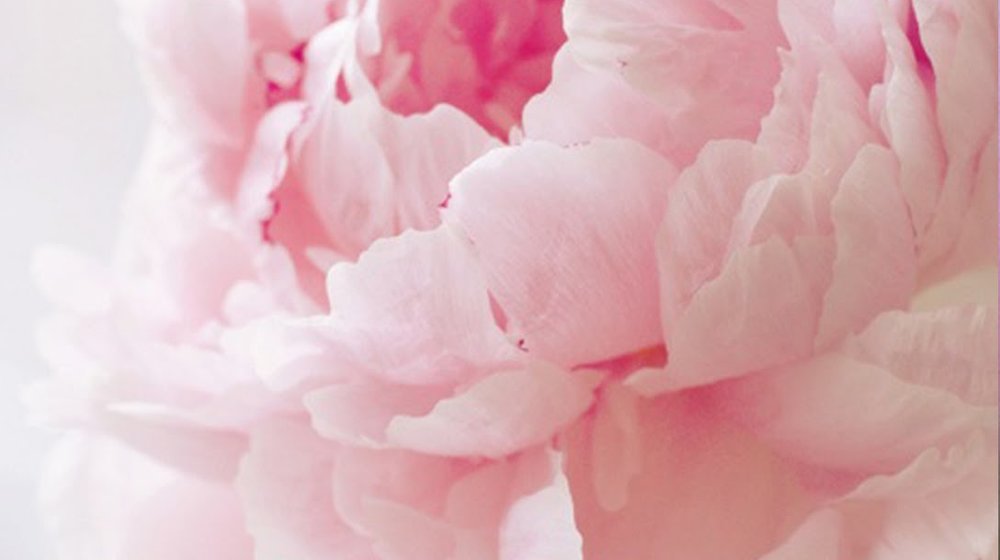 Тысячи слов о любви