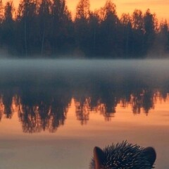 Книжные хочу