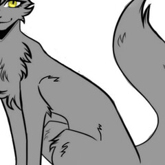Коты воители)