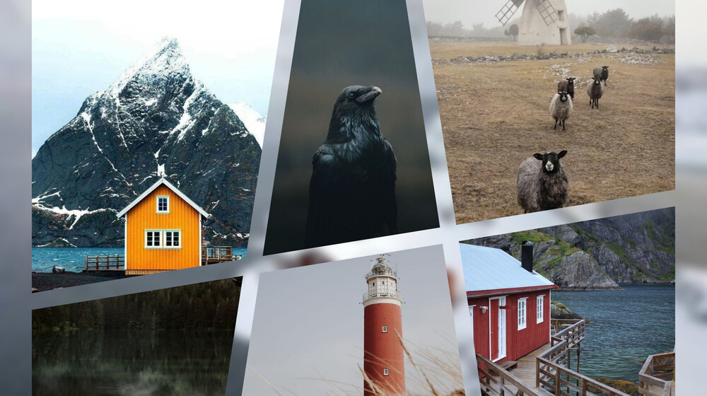 Скандинавы (современное)