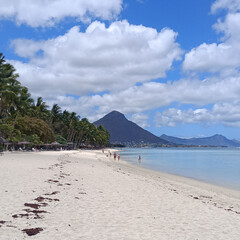 Октябрь ноябрь все книги