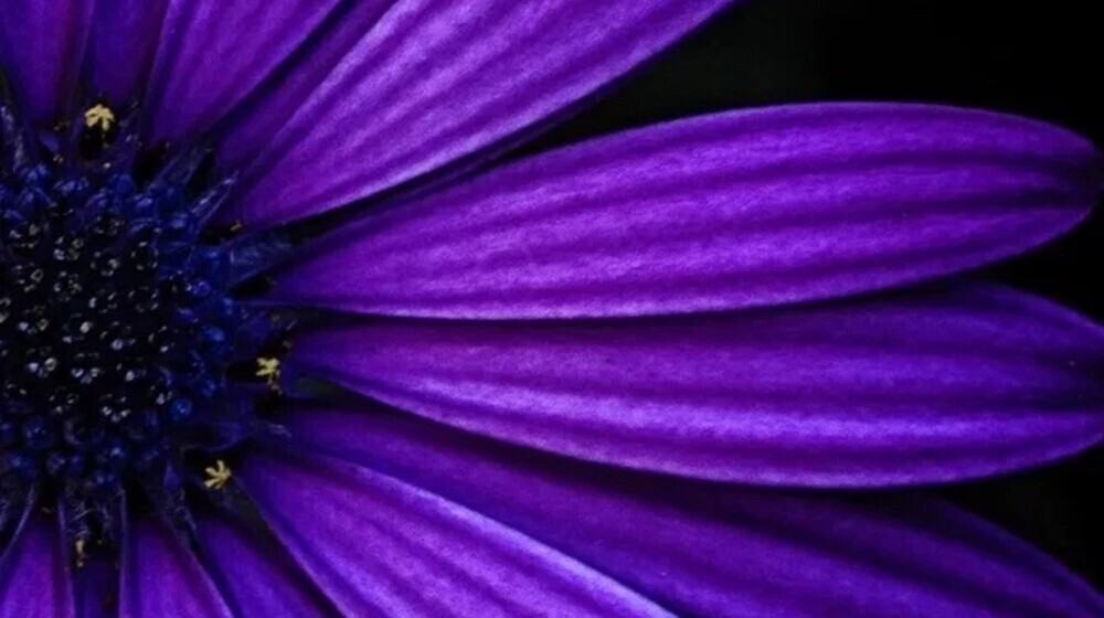 Прочитаное 2025