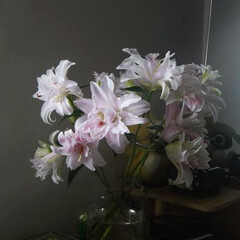 художественная литература