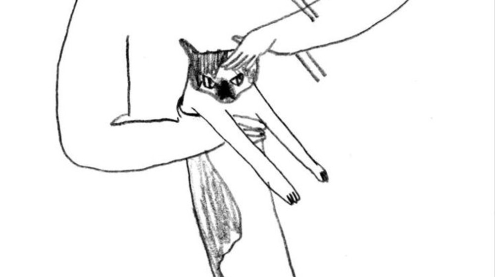 Назовём всё это прозой