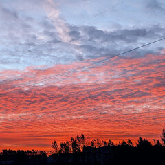 Саморазвитие