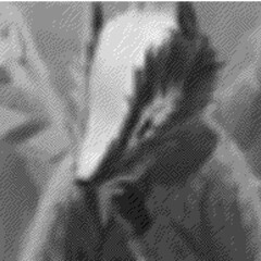 Зверский
Детектив