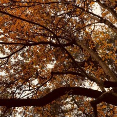 And if I didn't know better
I'd think you were talking  to me now