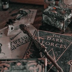Harry Potter🧙🏻‍♀️